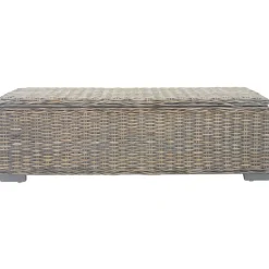 Opbergbox 110 cm natuurlijk kubu rattan en mahoniehout>vidaXL Sale