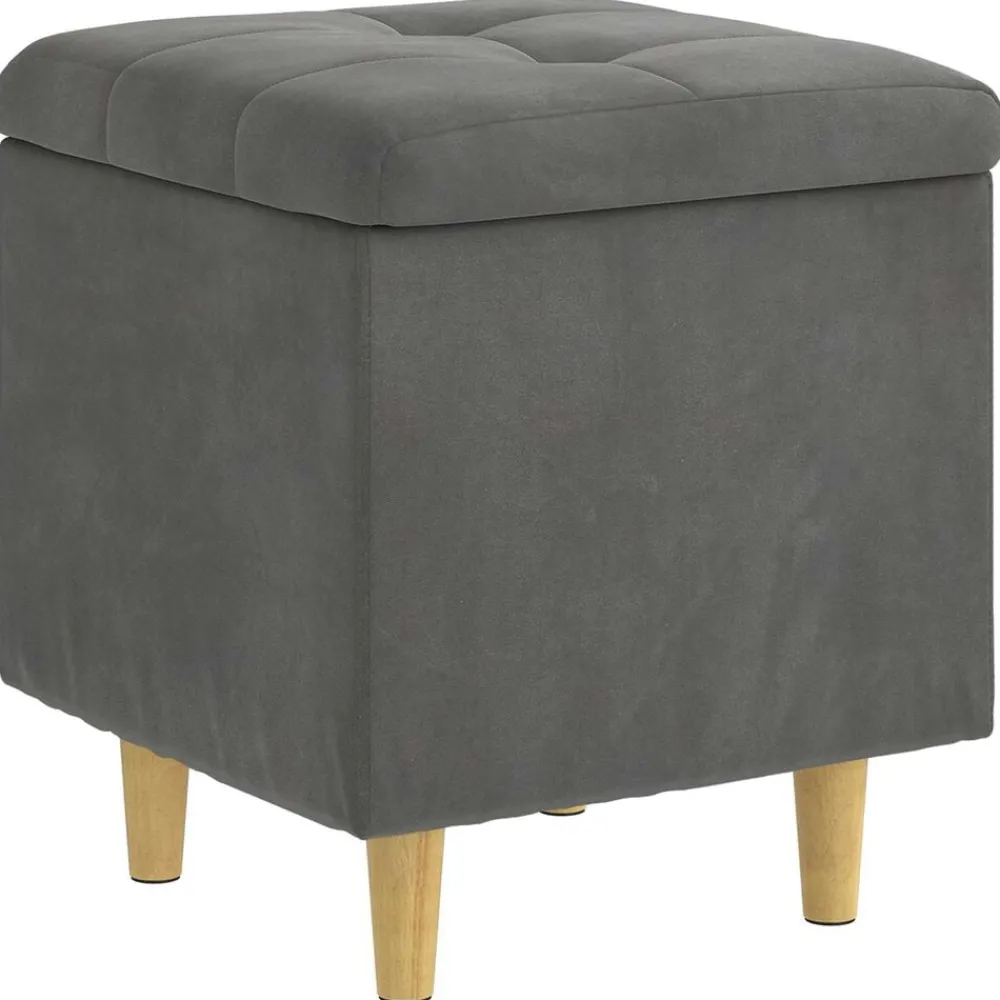 Stoelen*vidaXL Opslagottoman met kussen 40 x 40 x 45 cm Fluweel Donkergrijs