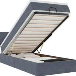 Bedden & Accessoires*vidaXL Ottoman bed met matras en LED's 80x200cm fluweel Donkergrijs