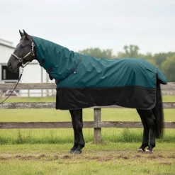 Paardendeken Donkergroen en Zwart 75 cm Polyester>vidaXL Online