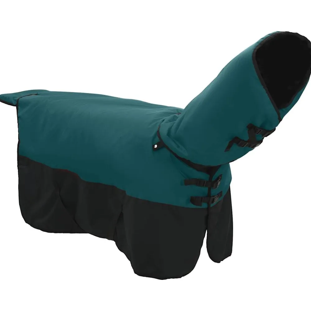 Paardendeken Donkergroen en Zwart 75 cm Polyester>vidaXL Online