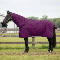 Buitensport*vidaXL Paardendeken Donkergroen en Zwart 75 cm Polyester Paars