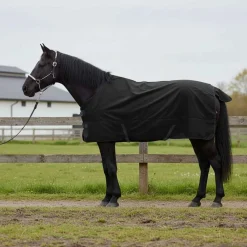 Paardendeken Donkergroen en 75 cm Polyester>vidaXL Outlet