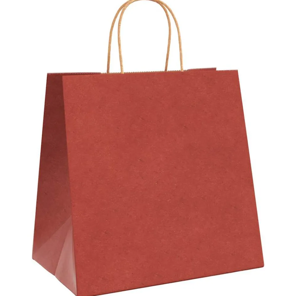 Kunst & Entertainment*vidaXL Papieren zakken 250 st met hengsels 26x17x25 cm Rood