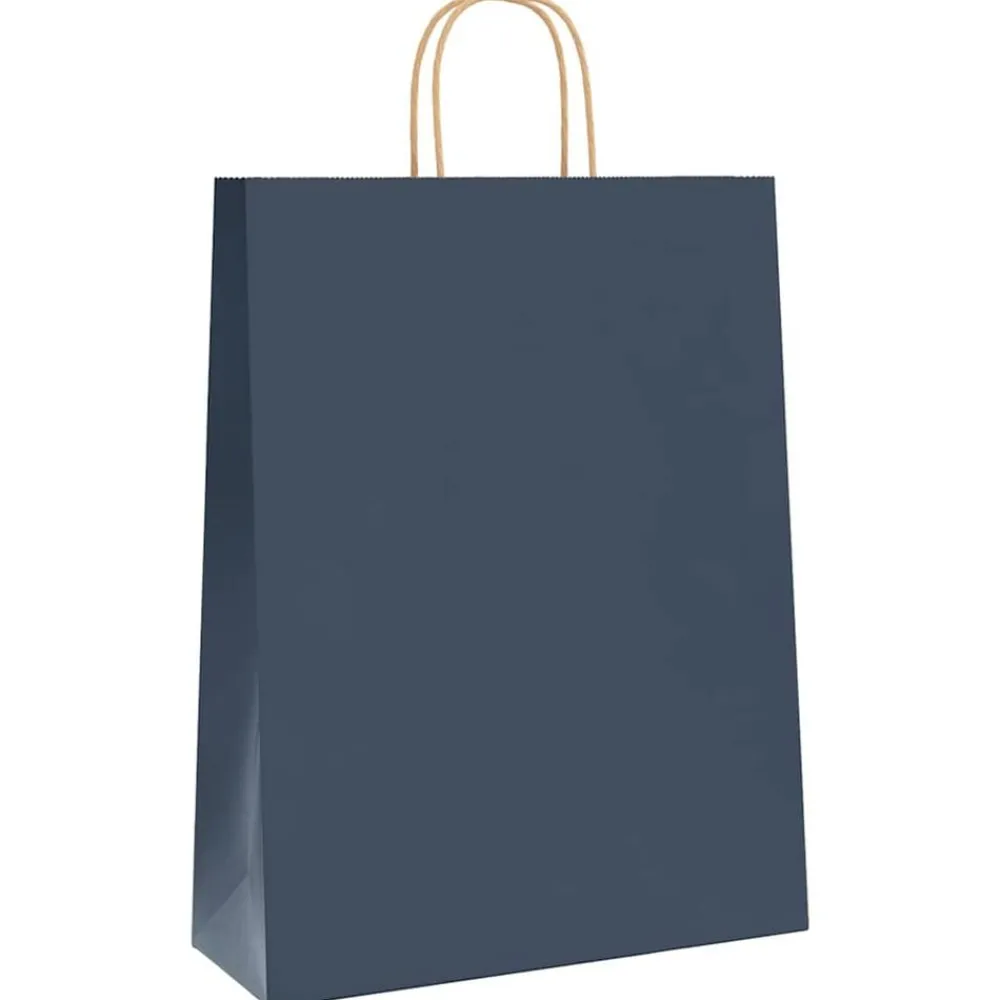 Papieren zakken 250 st met hengsels 32x12x42 cm>vidaXL Hot