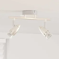 Plafondspot met schijnwerpers Nikkel 27 x 10 x 12 cm Metaal>vidaXL Hot