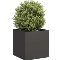 Tuin & Gazon*vidaXL Plantenbak 40x40x40 cm koudgewalst staal Zwart
