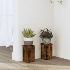 Plantenstandaards 2 st 10x10x18 cm bewerkt hout>vidaXL Discount