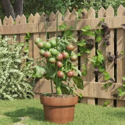 Tuin & Gazon*vidaXL Plantensteunen 5 st met 3 ringen 45 cm staal groen