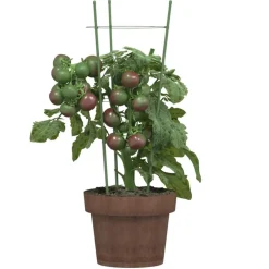 Tuin & Gazon*vidaXL Plantensteunen 5 st met 3 ringen 45 cm staal groen