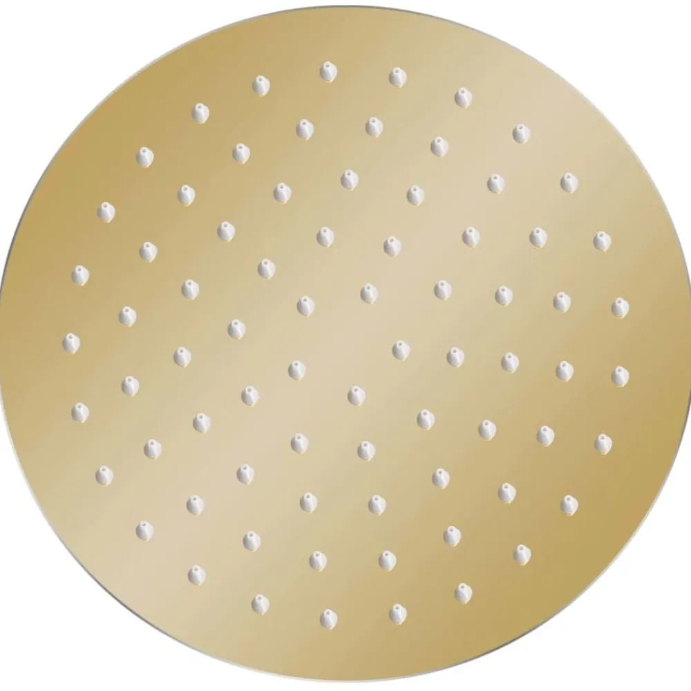 Sanitair & Loodgietersbenodigdheden*vidaXL Regendouchekop rond 20 cm roestvrij staal kleurig Goud