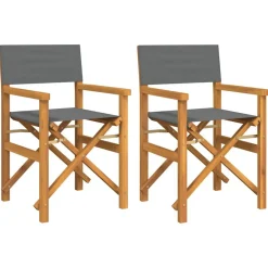 Tuinmeubelen*vidaXL Regisseursstoelen inklapbaar 2 st massief teakhout Grijs