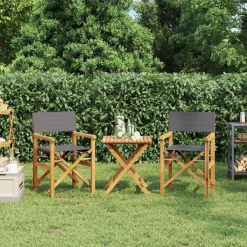 Tuinmeubelen*vidaXL Regisseursstoelen inklapbaar 2 st massief teakhout Grijs