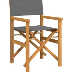 Tuinmeubelen*vidaXL Regisseursstoelen inklapbaar 2 st massief teakhout Grijs