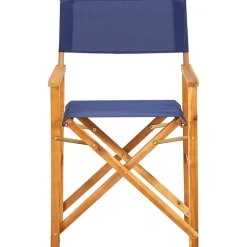 Tuinmeubelen*vidaXL Regisseursstoelen 2 st massief acaciahout Blauw