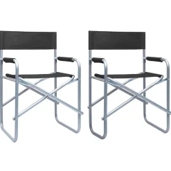 Tuinmeubelen*vidaXL Regisseursstoelen 2 st staal Zwart