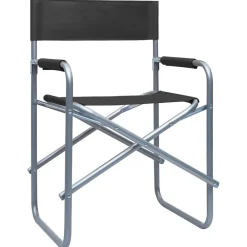 Tuinmeubelen*vidaXL Regisseursstoelen 2 st staal Zwart
