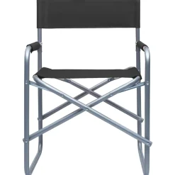 Tuinmeubelen*vidaXL Regisseursstoelen 2 st staal Zwart