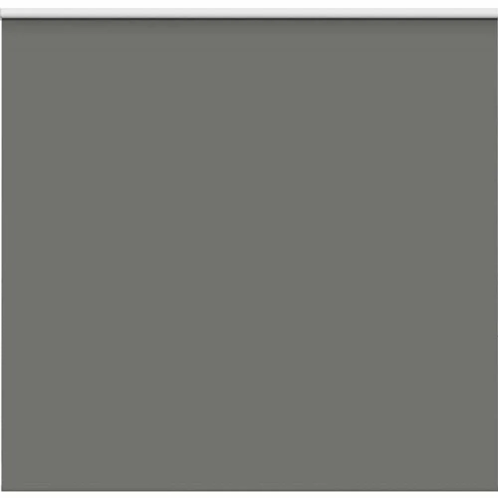 Woon- & Tuinaccessoires*vidaXL Rolgordijn verduisterend 165x175 cm stofbreedte 161,6 cm Grijs