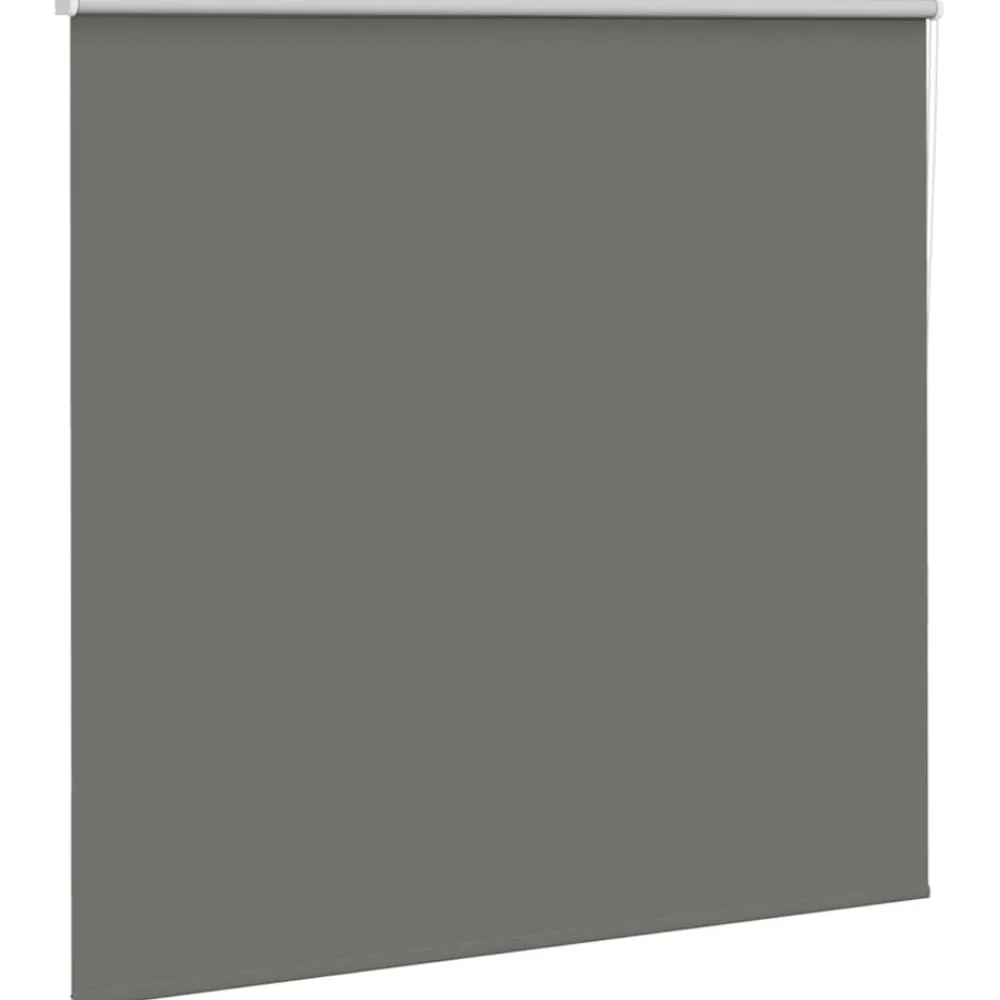Woon- & Tuinaccessoires*vidaXL Rolgordijn verduisterend 165x175 cm stofbreedte 161,6 cm Grijs