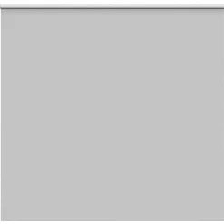 Woon- & Tuinaccessoires*vidaXL Rolgordijn verduisterend 145x175 cm stofbreedte 141,6 cm Lichtgrijs