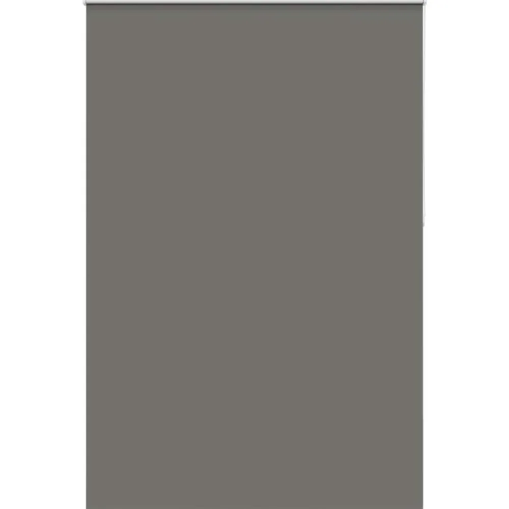 Woon- & Tuinaccessoires*vidaXL Rolgordijn verduisterend 155x210 cm stofbreedte 151,6 cm Grijs