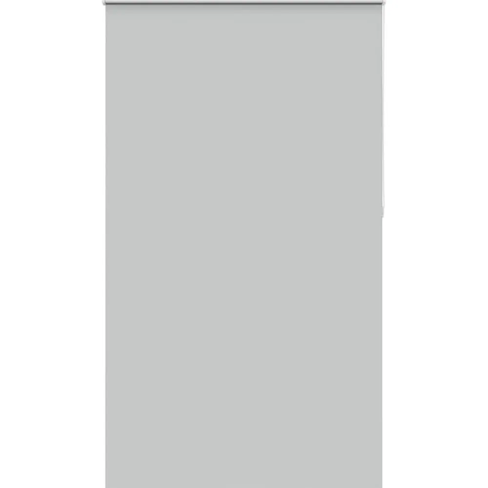 Woon- & Tuinaccessoires*vidaXL Rolgordijn verduisterend 120x230 cm stofbreedte 116,6 cm Lichtgrijs