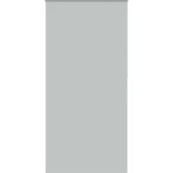 Woon- & Tuinaccessoires*vidaXL Rolgordijn verduisterend 105x210 cm stofbreedte 100,7 cm Lichtgrijs