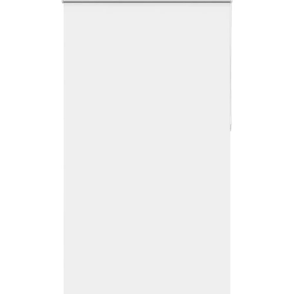 Woon- & Tuinaccessoires*vidaXL Rolgordijn verduisterend 120x210 cm stofbreedte 116,6 cm Wit