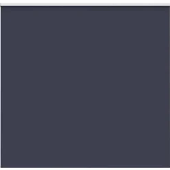 Woon- & Tuinaccessoires*vidaXL Rolgordijn verduisterend 165x175 cm stofbreedte 161,6 cm blauw Zeeblauw