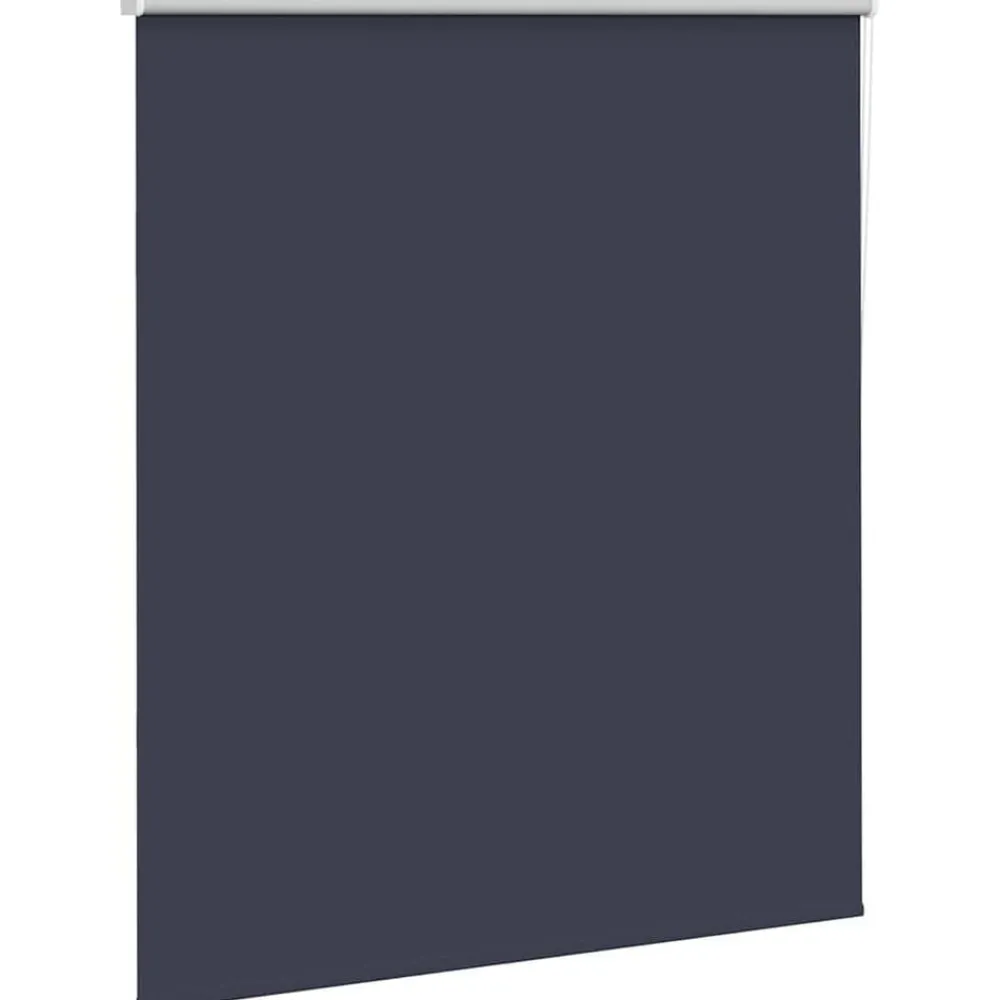Woon- & Tuinaccessoires*vidaXL Rolgordijn verduisterend 120x175 cm stofbreedte 116,6 cm blauw Zeeblauw