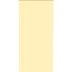Woon- & Tuinaccessoires*vidaXL Rolgordijn verduisterend 115x210 cm stofbreedte 110,7 cm Geel
