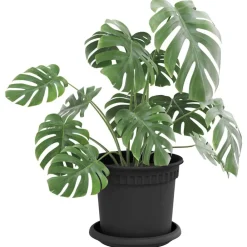 Ronde Bloemenschalen 6 pcs Ø 15,5 x 2 cm Kunststof><noscript><img width=