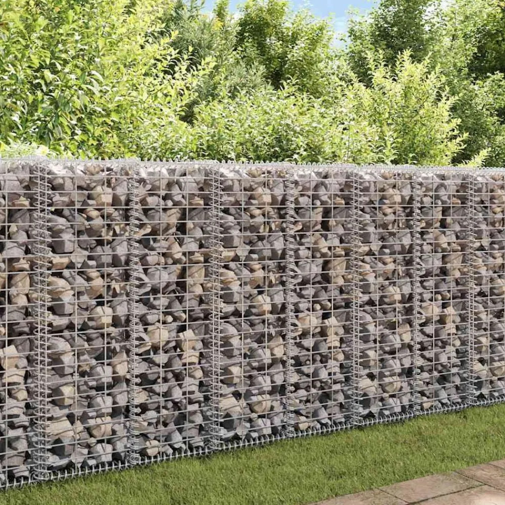 Tuinafscheidingen*vidaXL Schanskorf met deksels 100x30x30 cm gegalvaniseerd draad