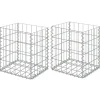 Tuinafscheidingen*vidaXL Schanskorven 2 st 30x30x40 cm gegalvaniseerd staal