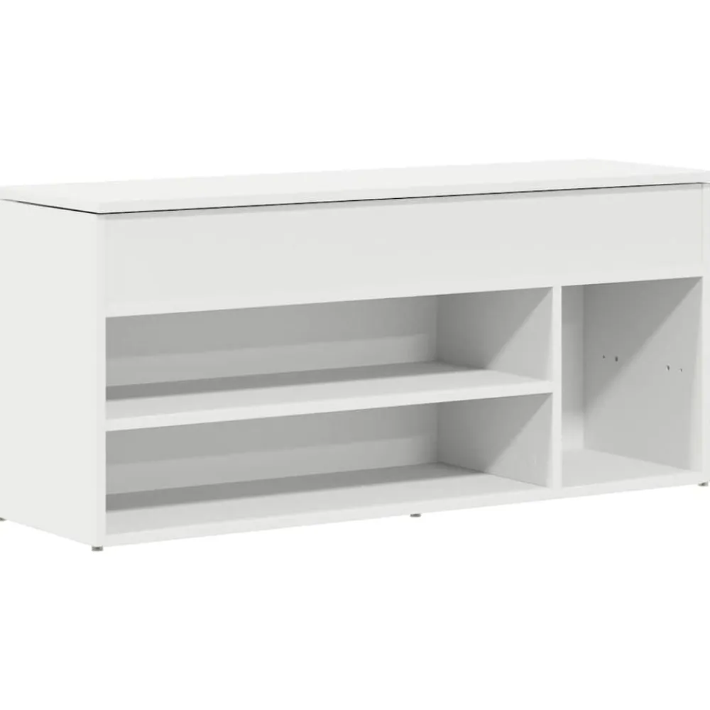Huishoudelijke Benodigdheden*vidaXL Schoenenbank 102x30,5x45 cm bewerkt hout Wit