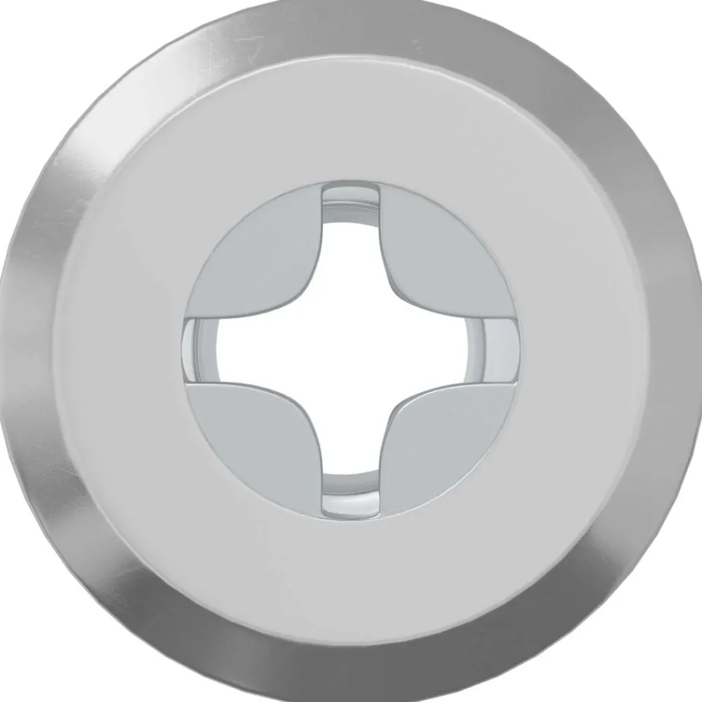 Slotmoer 2 pcs Zilver M6 x 15 mm Staal>vidaXL New