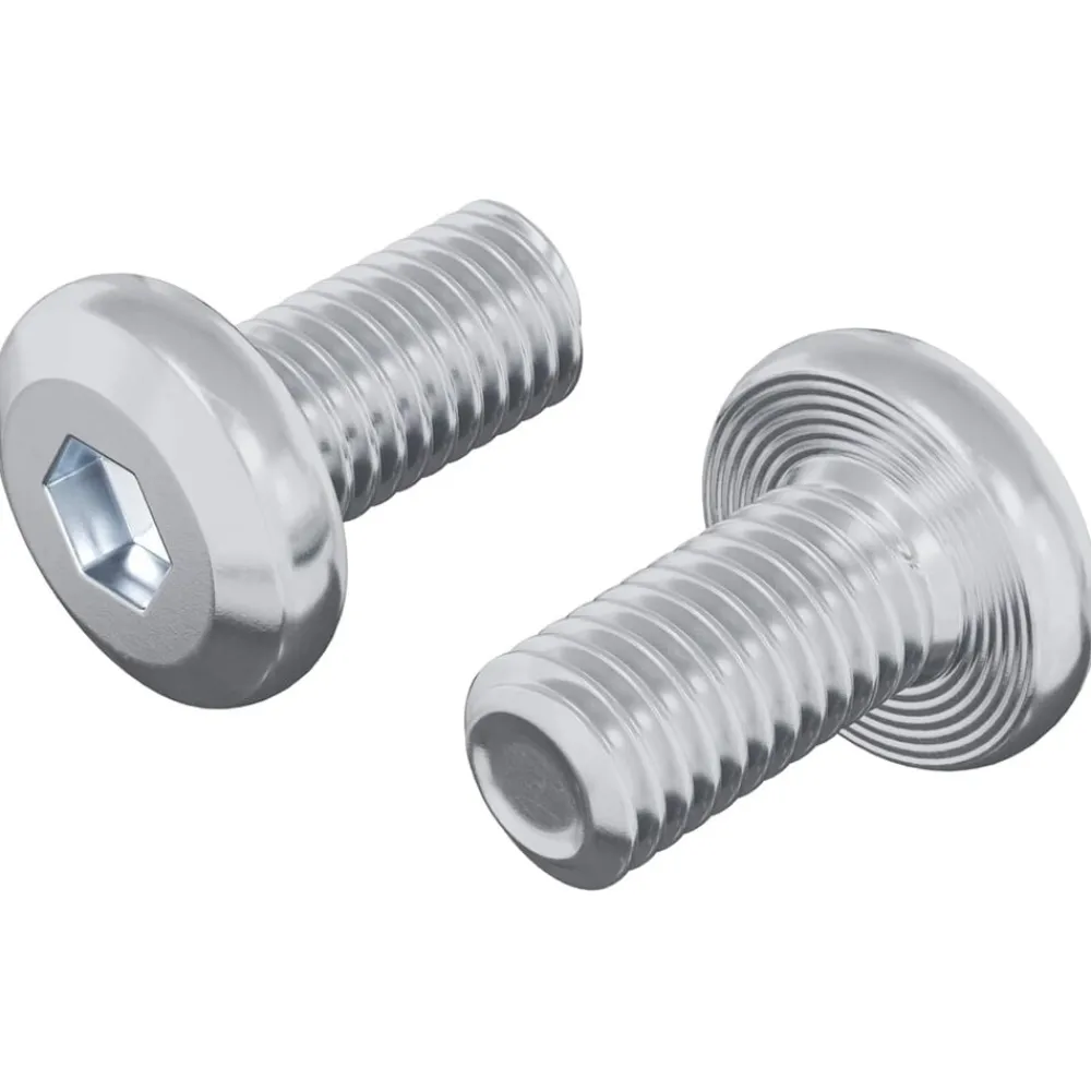 Bouwbeslag*vidaXL Slotschroef Effen 2 pcs Zilver M6 x 12 mm Staal