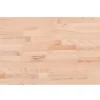 Keuken & Eetkamer*vidaXL Snijplank 60x40x4 cm massief beukenhout
