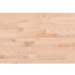 Keuken & Eetkamer*vidaXL Snijplank 60x40x4 cm massief beukenhout