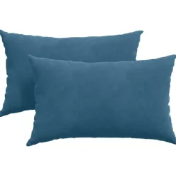 Woon- & Tuinaccessoires*vidaXL Sofa Kussens 2 stuks 50 x 30 cm Cordstof Blauw