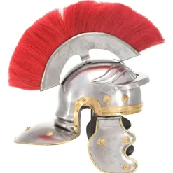 Kunst & Entertainment*vidaXL Soldatenhelm Romeins replica staal zilverkleurig