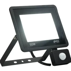 Verlichting*vidaXL Spotlight met sensor LED 50 W Koudwit