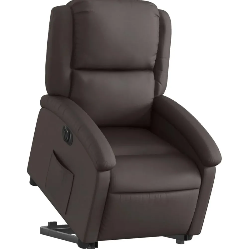 Stoelen*vidaXL Sta-op-stoel elektrisch echt leer Donkerbruin