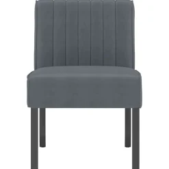 Stoelen*vidaXL Stoel fluweel Donkergrijs