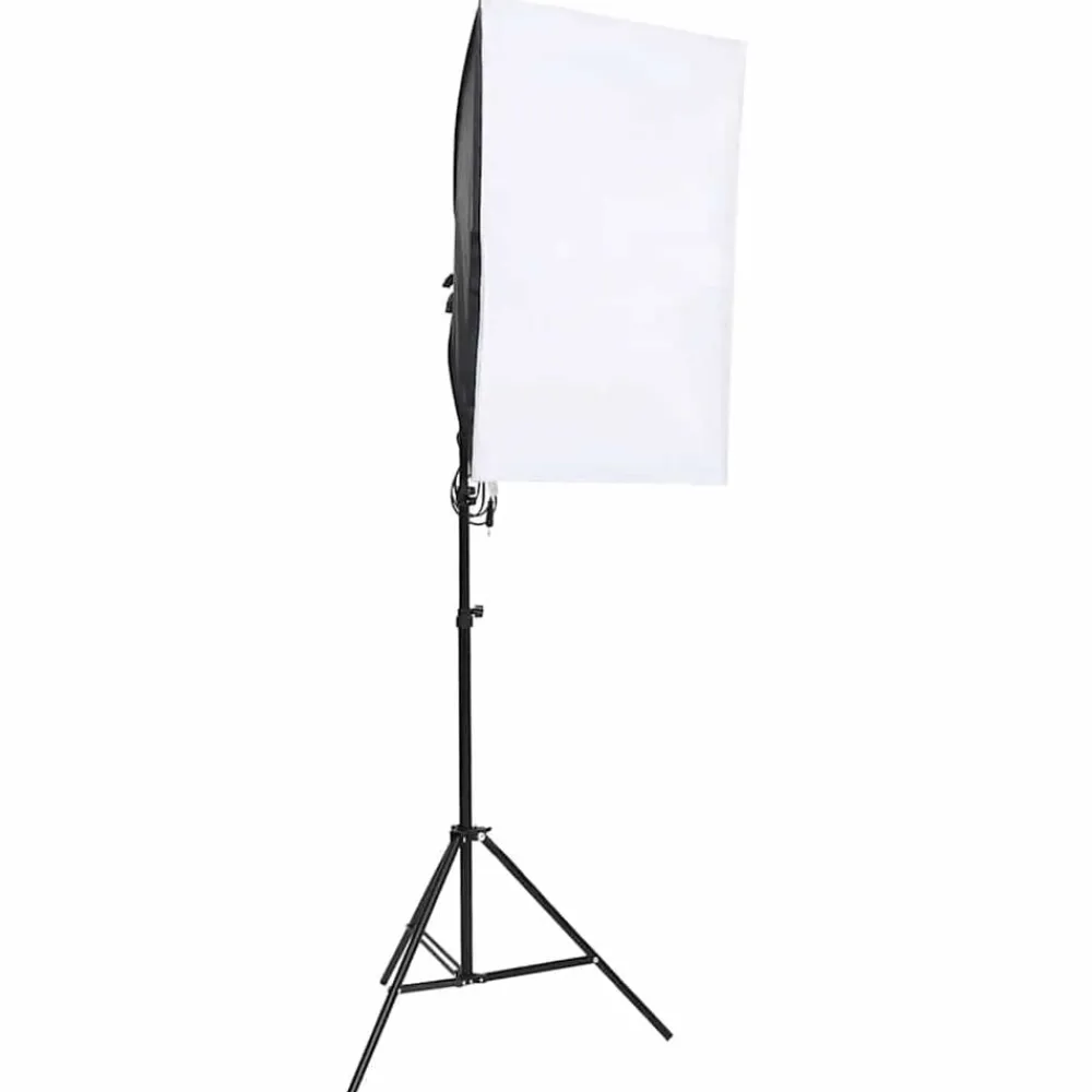 Camera & Optiek*vidaXL Studiolampen 2 st professioneel 40x60 cm