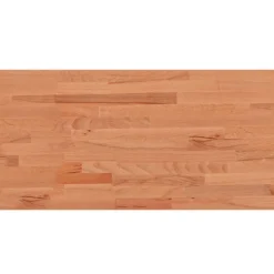Tafelaccessoires*vidaXL Tafelblad rechthoekig 100x50x1,5 cm massief beukenhout Bruin
