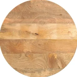 Tafelblad rond Ø 40x2,5 cm massief ruw mangohout>vidaXL New