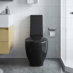 Sanitair & Loodgietersbenodigdheden*vidaXL Toilet met afvoer achter keramiek Zwart