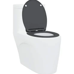 Sanitair & Loodgietersbenodigdheden*vidaXL Toiletzitting 47 x 37,5 x 3,8 cm Duroplast Antraciet